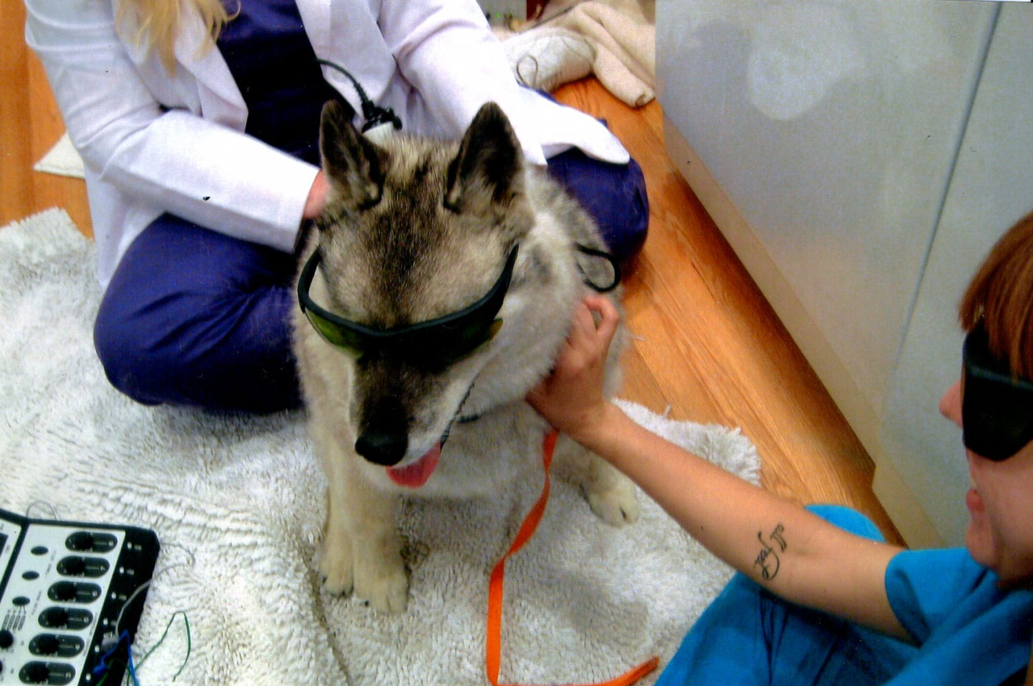 Class IV Laser Therapy