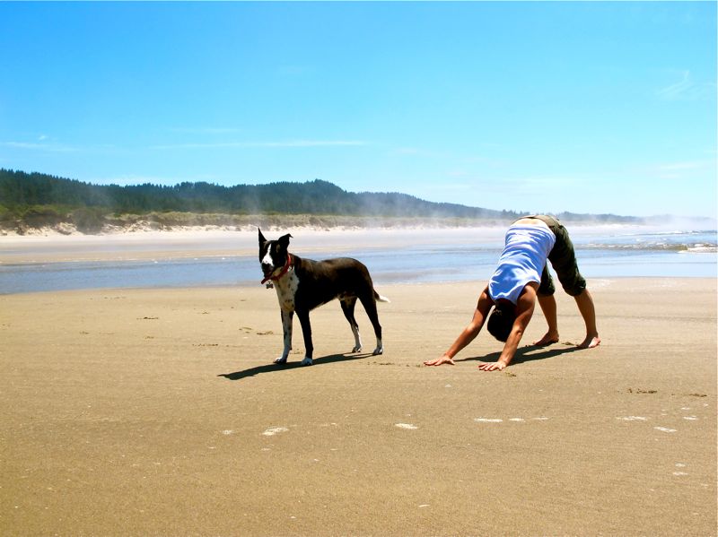 Person and dog doing yoga on beach